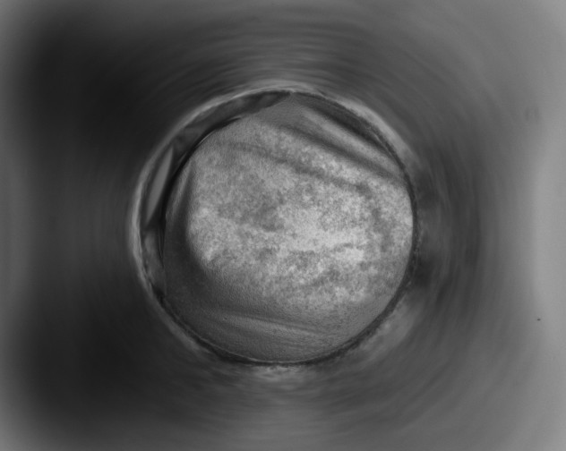 X0000087550902200705181104