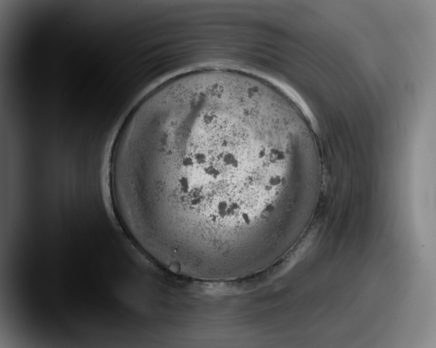 X0000087550903200705181104