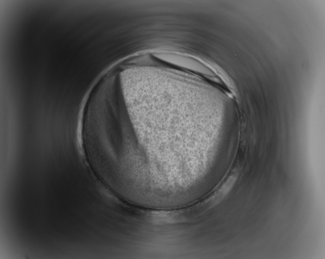 X0000087550904200705181104