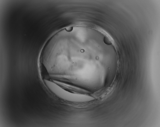 X0000087550907200705181104