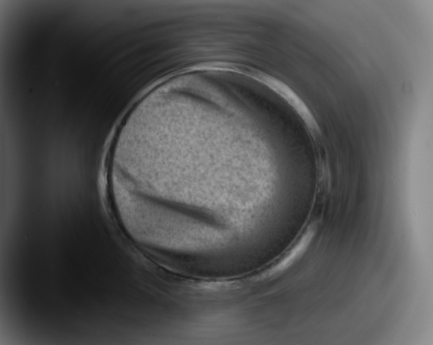 X0000087550908200705181104