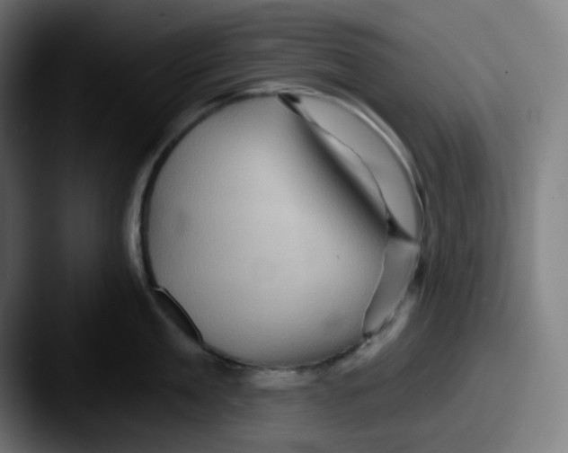 X0000087550909200705181104