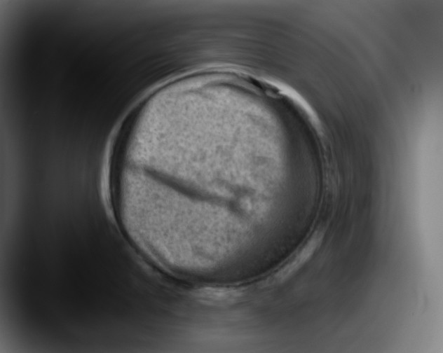 X0000087550910200705181104