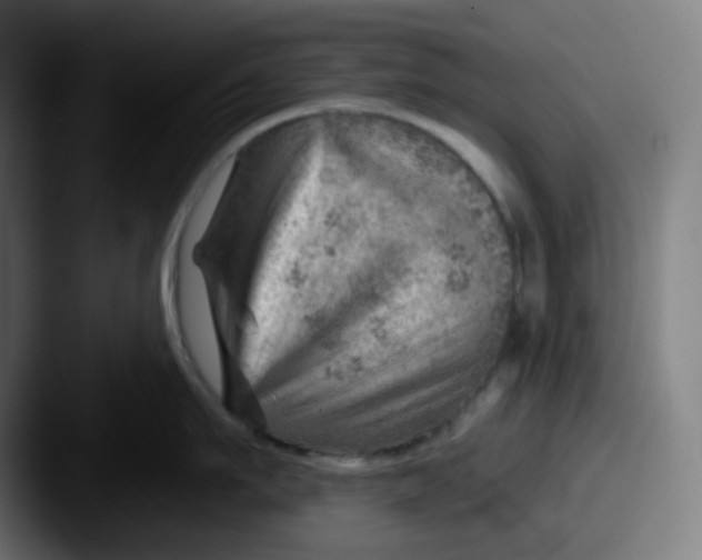 X0000087550911200705181104