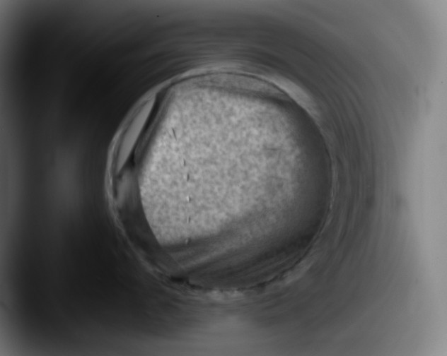 X0000087550912200705181104