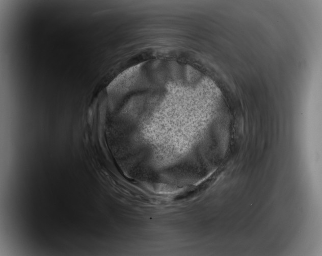 X0000087550914200705181103