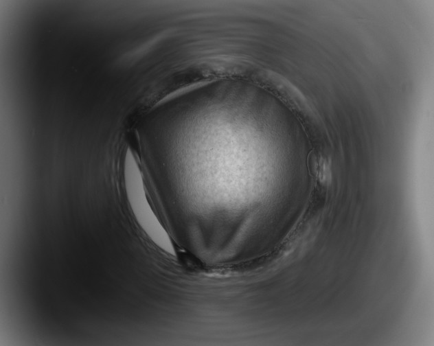 X0000087550915200705181104