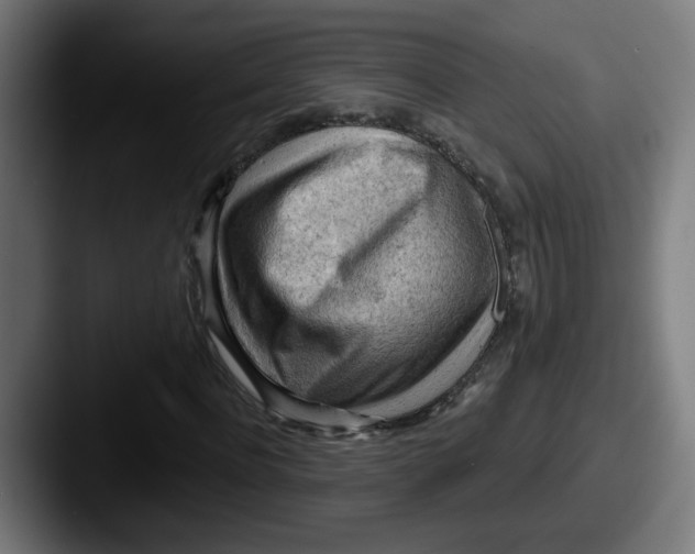 X0000087550916200705181104