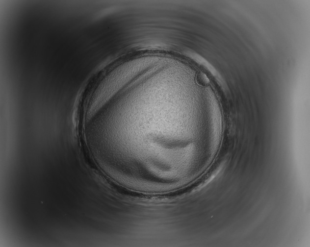 X0000087550922200705181104