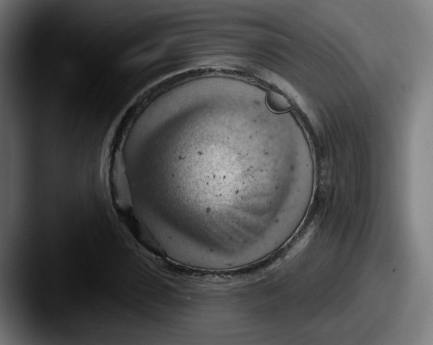 X0000087550923200705181104