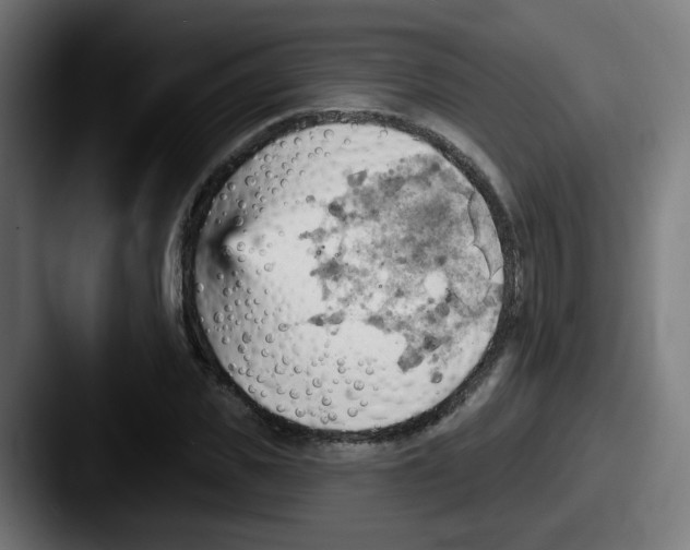 X0000087550925200705181104