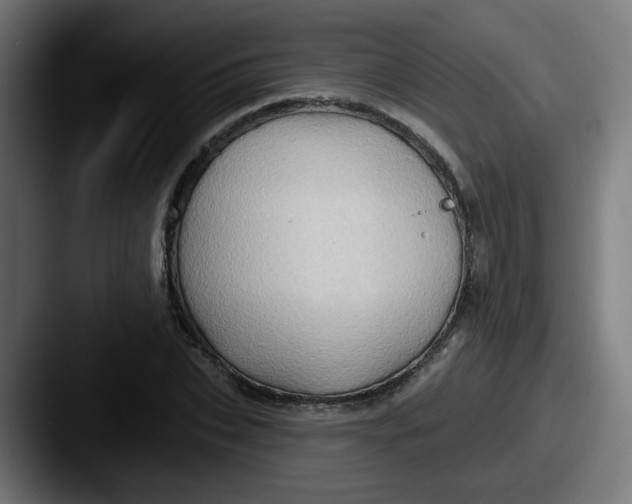 X0000087550927200705181104