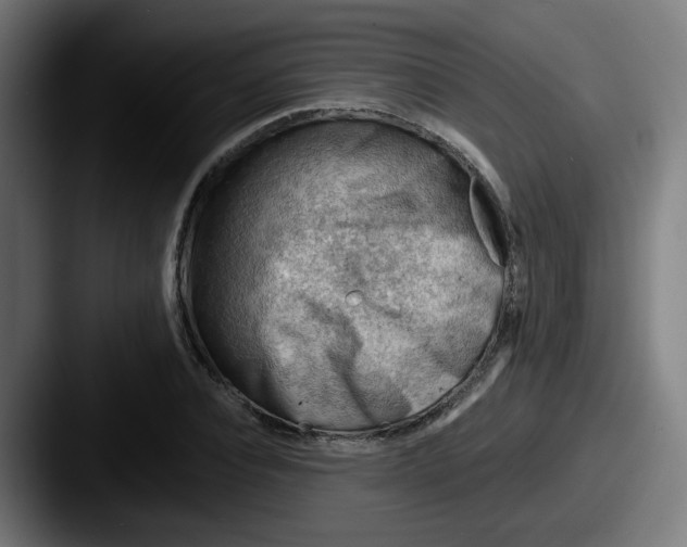 X0000087550928200705181104