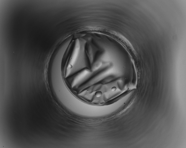 X0000087550930200705181104