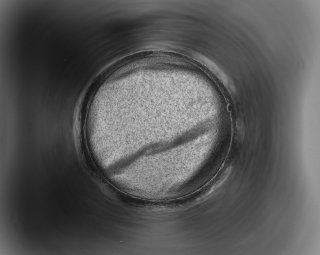 X0000087550931200705181104