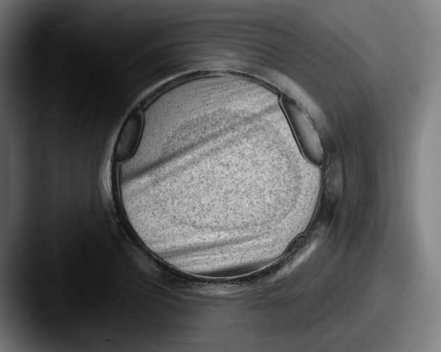 X0000087550932200705181104