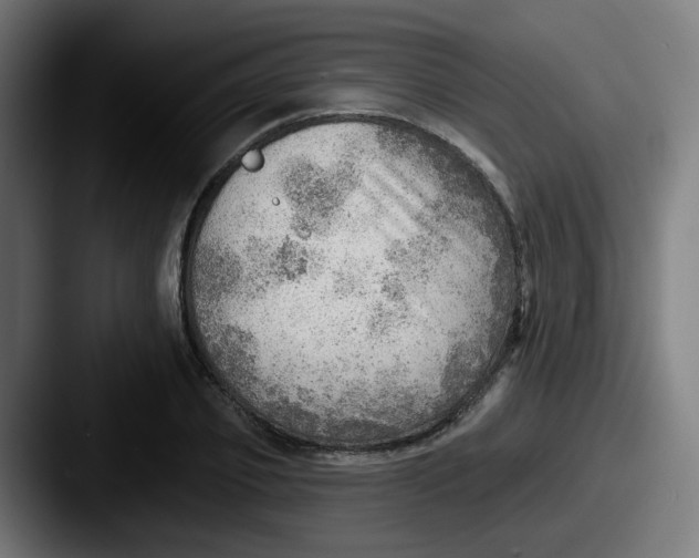 X0000087550933200705181104