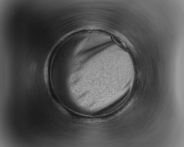 X0000087550934200705181104