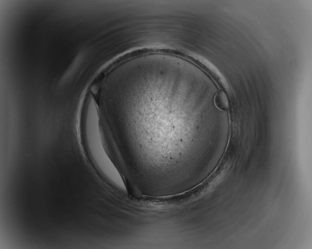 X0000087550935200705181104