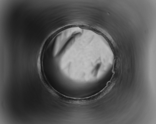 X0000087550936200705181104