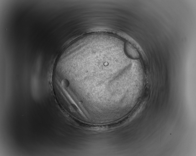 X0000087550937200705181104