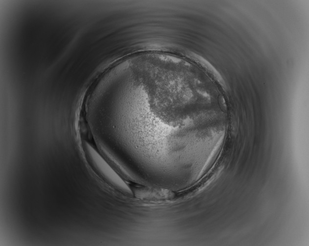 X0000087550938200705181104