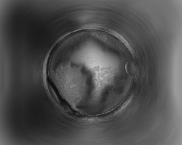 X0000087550939200705181104