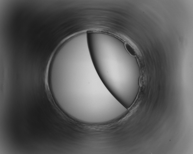 X0000087550940200705181104