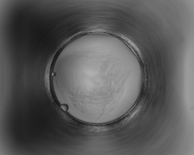 X0000087550941200705181104