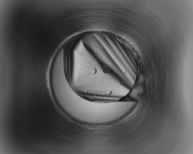 X0000087550942200705181104