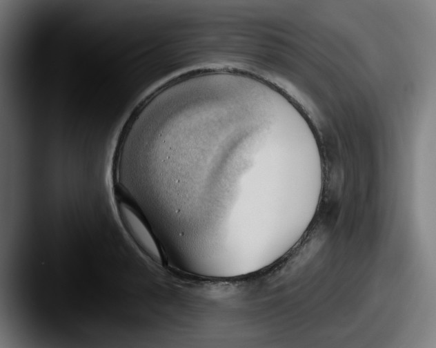 X0000087550943200705181104