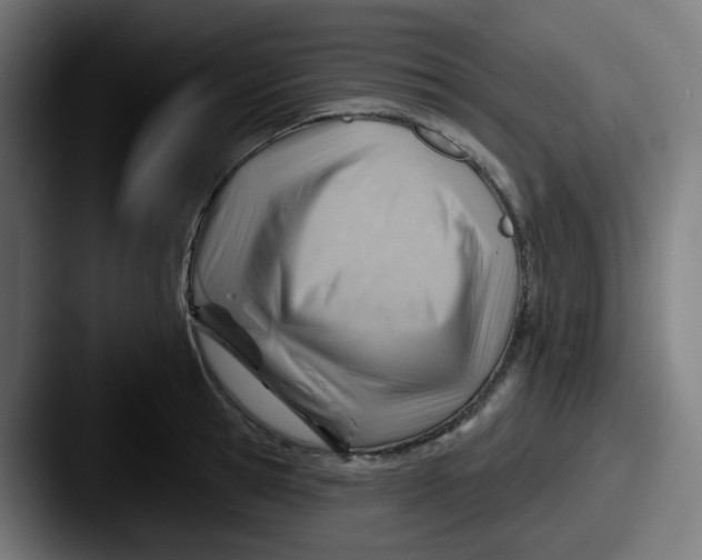 X0000087550945200705181104