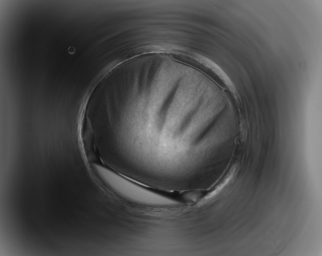 X0000087550946200705181104