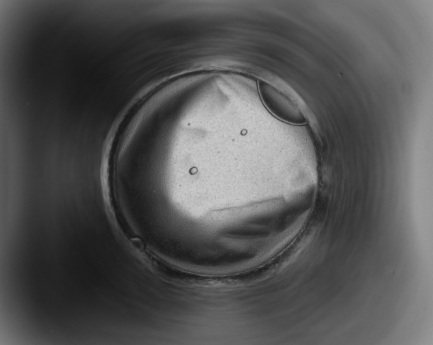 X0000087550947200705181104