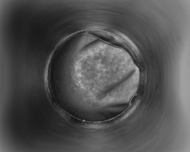 X0000087550948200705181104