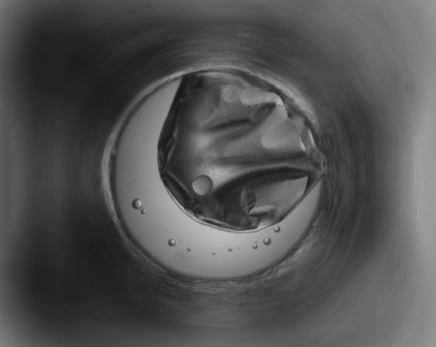 X0000087550950200705181104