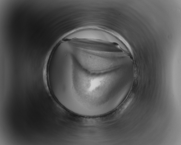 X0000087550951200705181104