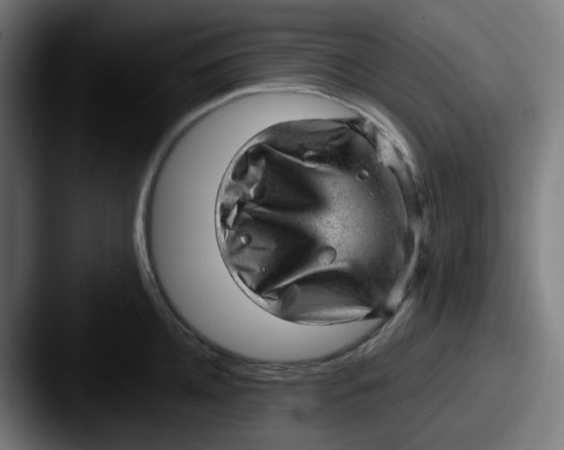 X0000087550952200705181104