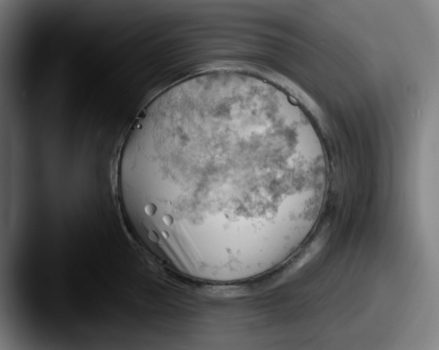 X0000087550953200705181104