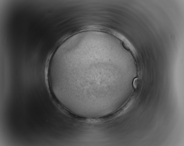 X0000087550954200705181104