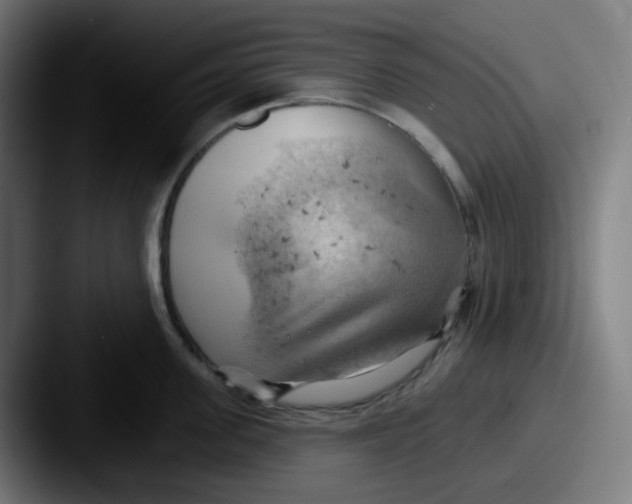 X0000087550955200705181104