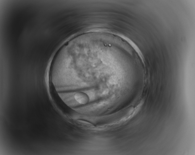 X0000087550957200705181104