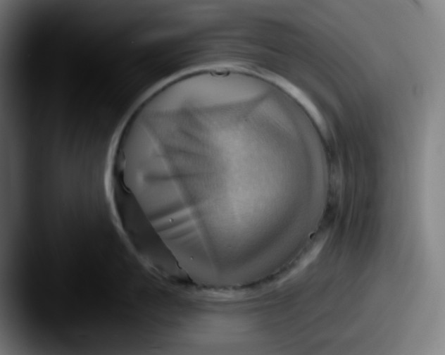 X0000087550959200705181104