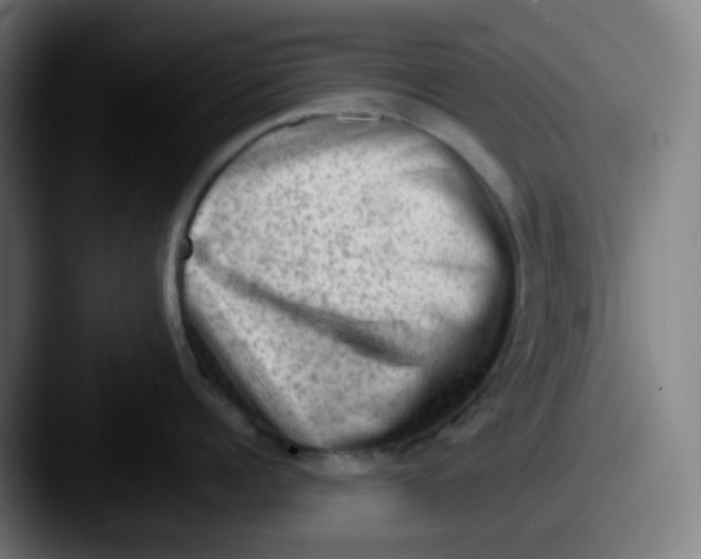 X0000087550960200705181104