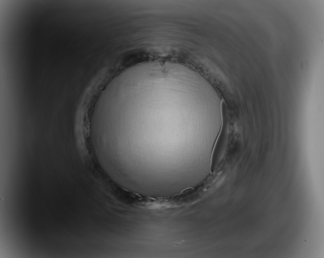 X0000087550961200705181103