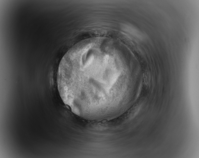 X0000087550962200705181103