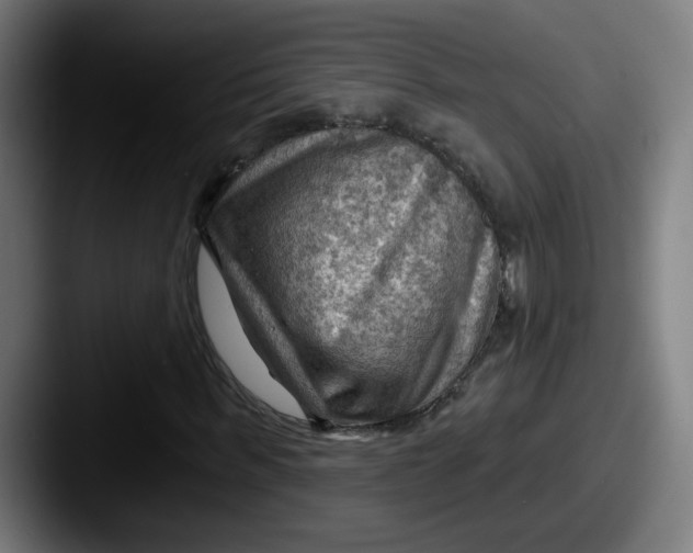 X0000087550963200705181103