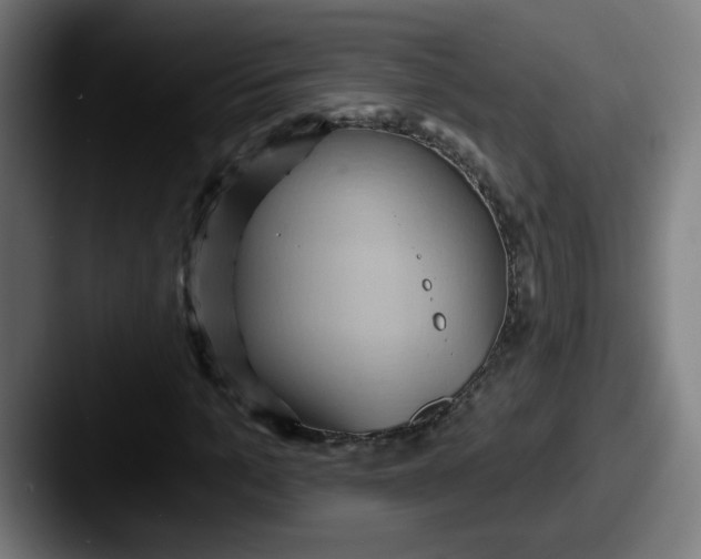 X0000087550965200705181103