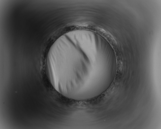 X0000087550966200705181103