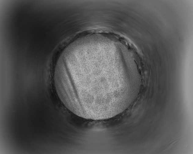 X0000087550967200705181103